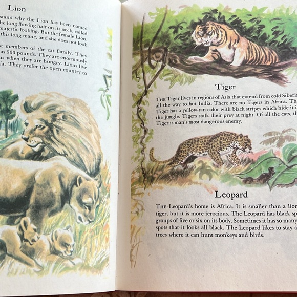 Vintage The Wonders of Nature Hardcover Book 1974 Coffee Table Book oversized - Picture 7 of 16